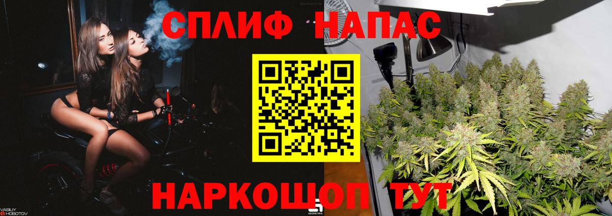 Конопля план Люберцы